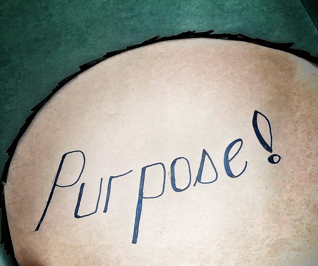 What is the meaning of Purpose