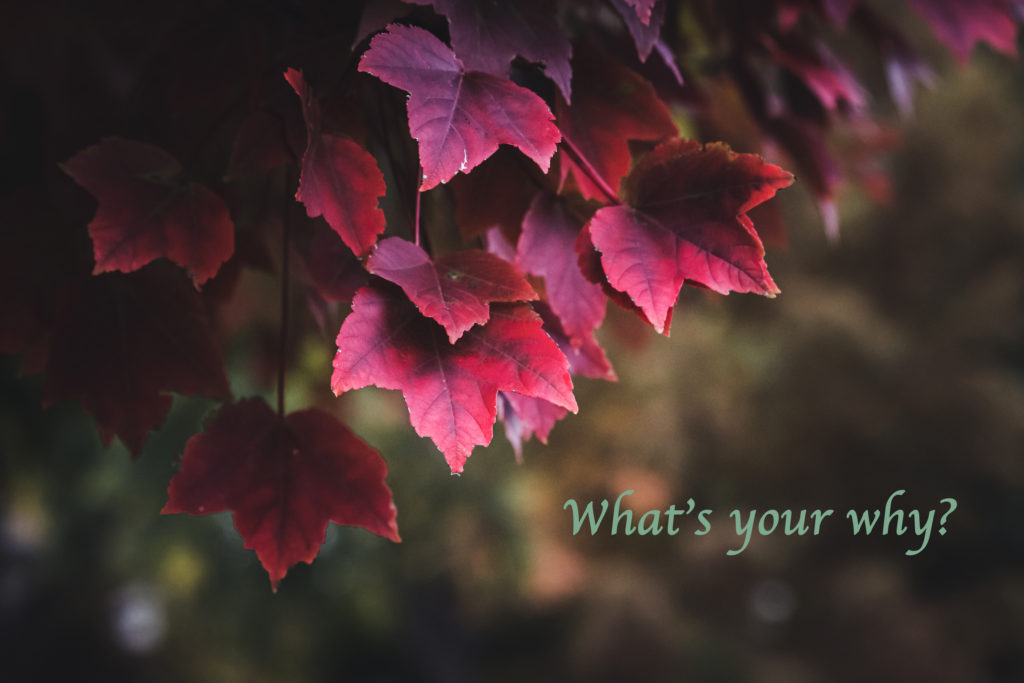 What's your why